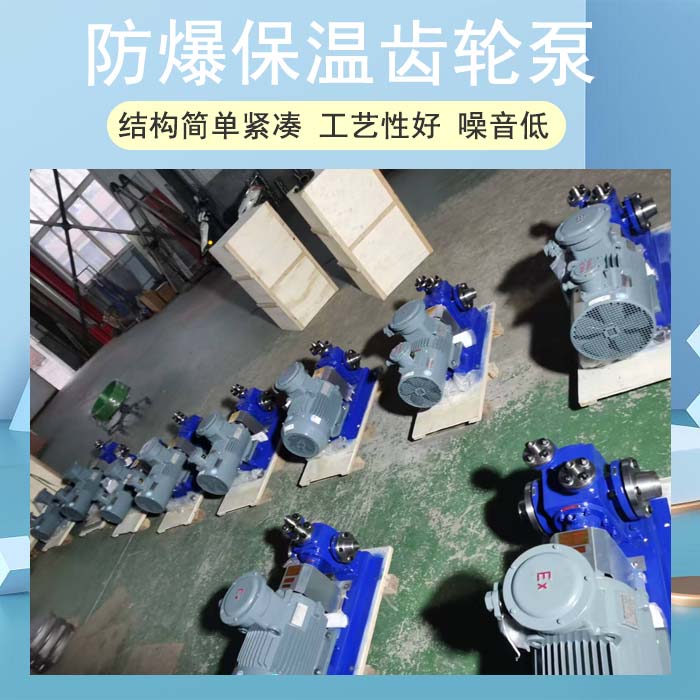 防爆保溫齒輪泵