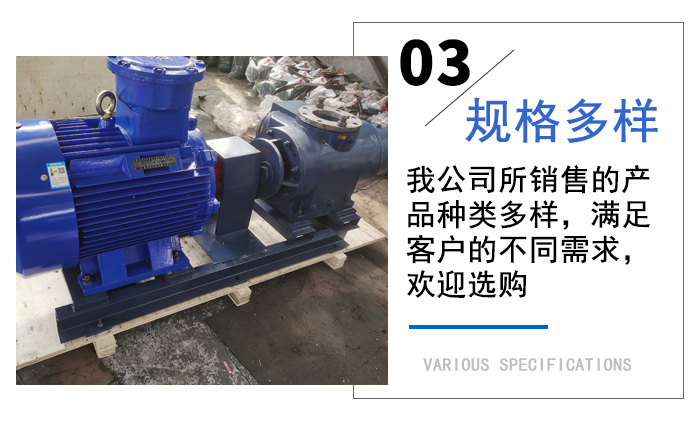 雙螺桿泵