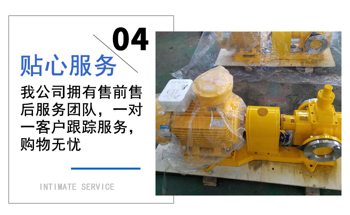 雙螺桿泵