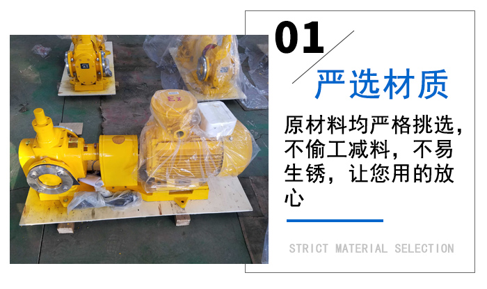 雙螺桿泵